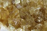 Lustrous, Yellow Calcite Crystal Cluster - Fluorescent! #149296-2